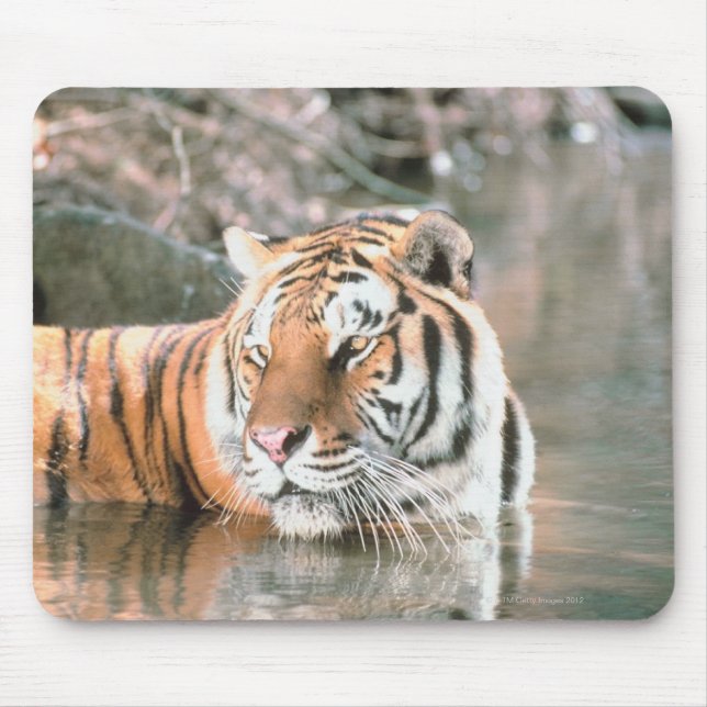 Tiger in stream mouse mat (Front)