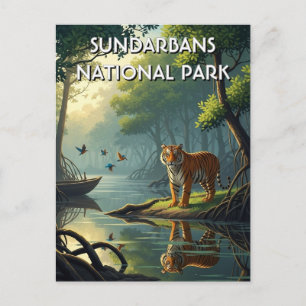 Tiger in Sundarbans National Park India Postcard
