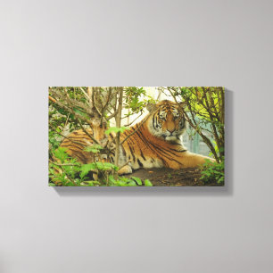 Tiger in The Forest Canvas Print
