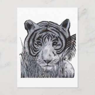 Tiger in the Grass Postcard
