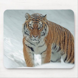Tiger in the snow mouse mat