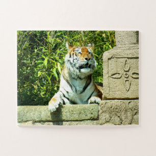 Tiger in the temple jigsaw puzzle