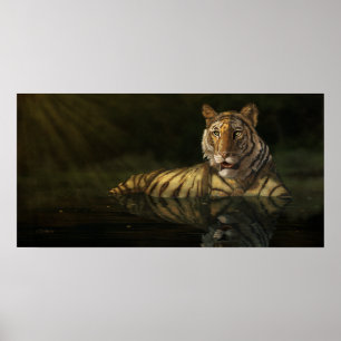Tiger in the Water digital painting Poster