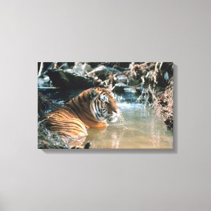 Tiger in water 2 canvas print