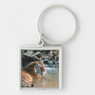 Tiger in water key ring