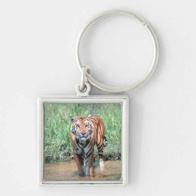 Tiger in water key ring (Front)