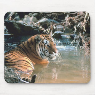 Tiger in water mouse mat