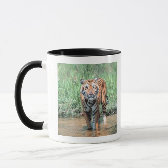 Tiger in water mug (Left)