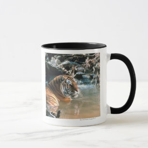 Tiger in water mug