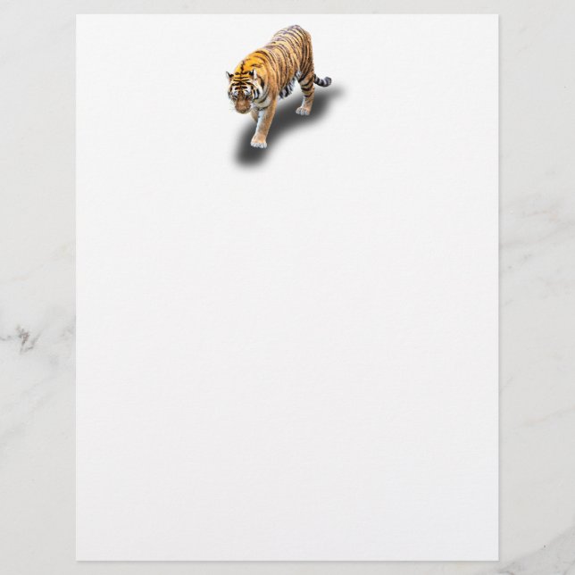 TIGER IN YOUR DIRECTION CUSTOM LETTERHEAD (Front)