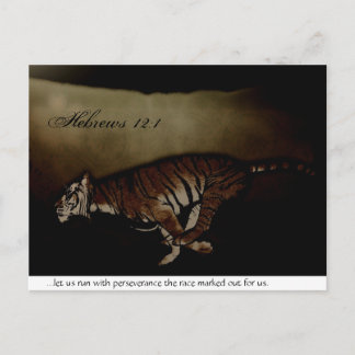 Tiger Inspirational Encouragment to Run the Race! Postcard