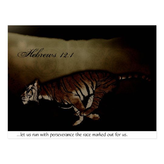 Tiger Inspirational Encouragment to Run the Race! Postcard