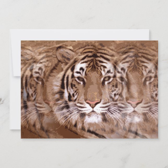 Tiger Invitation (Front)