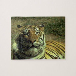 Tiger Jigsaw Puzzle