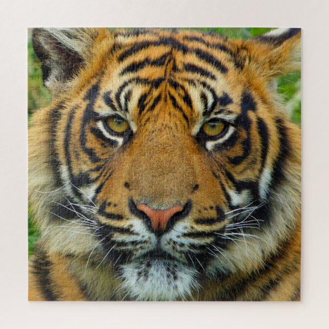 Tiger Jigsaw Puzzle (Vertical)