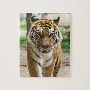 Tiger Jigsaw Puzzle