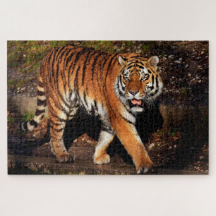 Tiger Jigsaw Puzzle