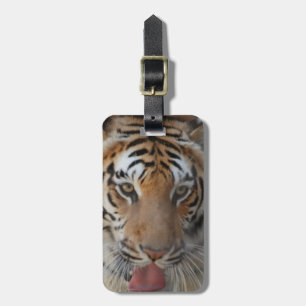 Tiger Kisses Luggage Tag