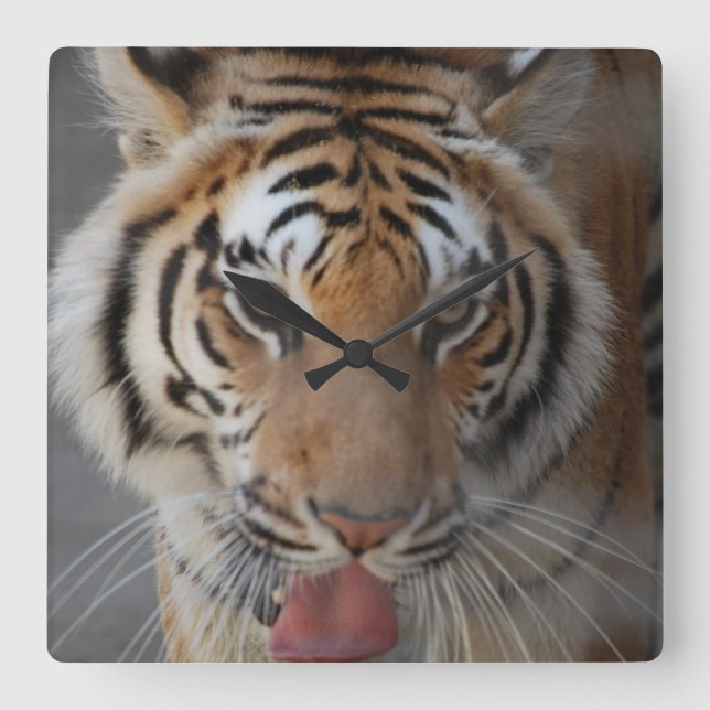 Tiger Kisses Wall Clock (Front)