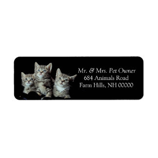 Tiger Kittens Return Address Stickers Labels