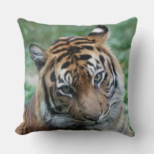 Tiger left and right 002 cushion