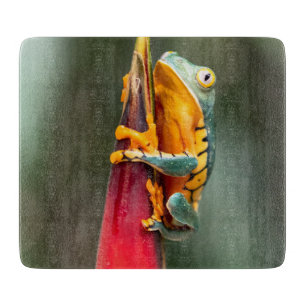Tiger Legged Monkey Tree Frog Green Orange Cutting Board