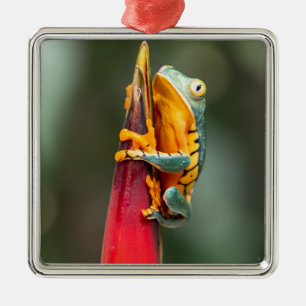 Tiger Legged Monkey Tree Frog Green Orange Metal Tree Decoration