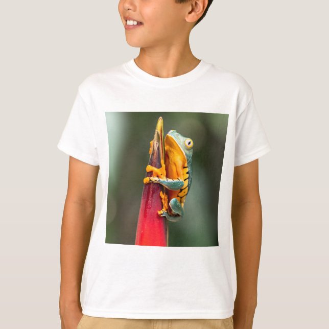 Tiger Legged Monkey Tree Frog Green Orange T-Shirt (Front)