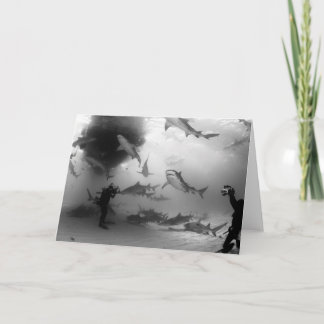 Tiger & Lemon Shark notecard