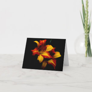 Tiger Lilies... Card
