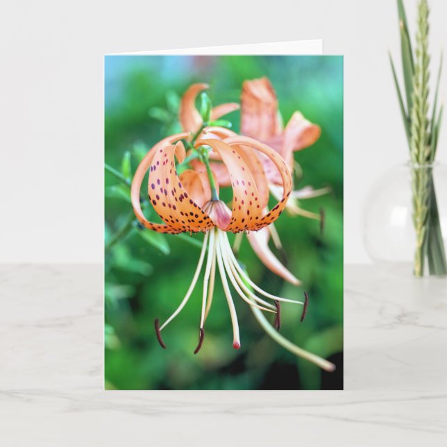 Tiger lilies  card (Front)