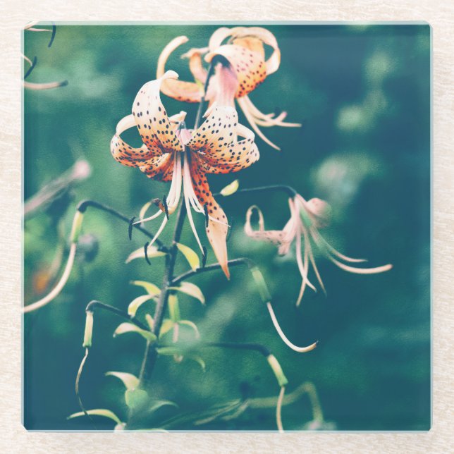 Tiger lilies glass coaster (Front)