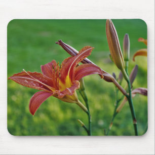 Tiger Lilies Mouse Mat