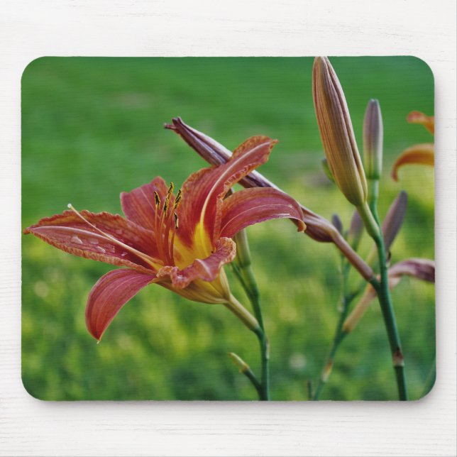 Tiger Lilies Mouse Mat (Front)