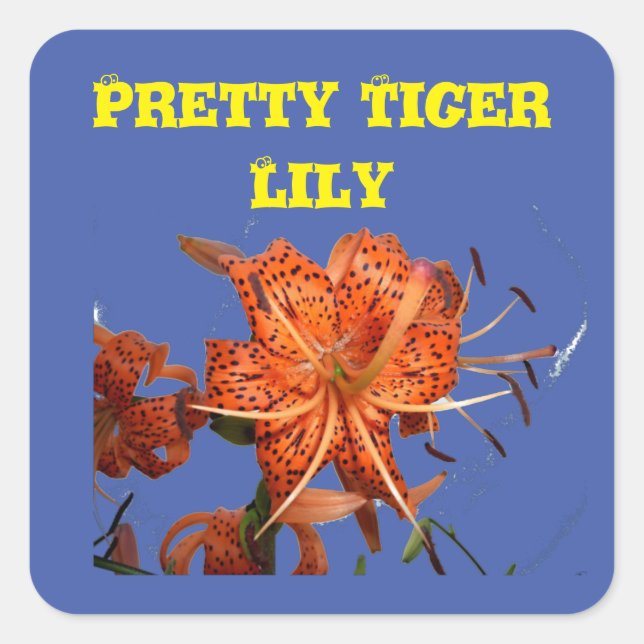 Tiger Lilies stuck on blue Bloom love for a Filly  Square Sticker (Front)
