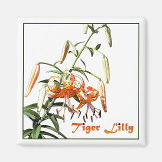 Tiger Lilly Magnet