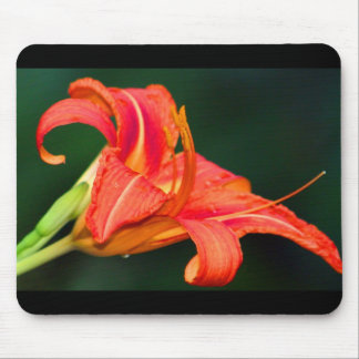 Tiger Lilly Mouse Mat