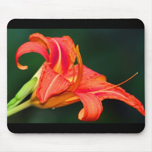 Tiger Lilly Mouse Mat (Front)