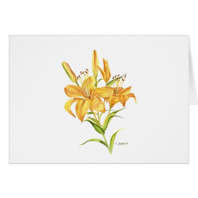 Tiger lily (Front Horizontal)