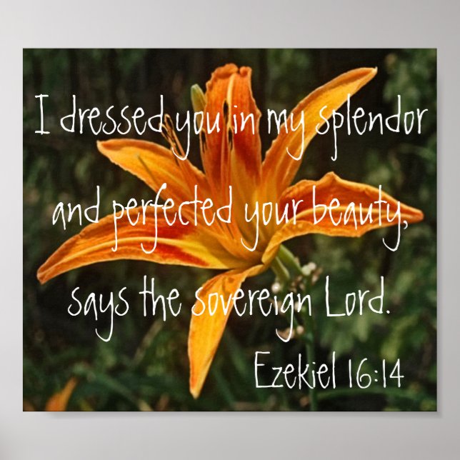 tiger lily bible verse Ezekiel 16:14 Poster (Front)
