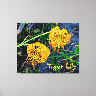 Tiger Lily Canvas Print