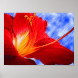 Tiger Lily "drawing" Poster