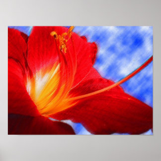 Tiger Lily "drawing" Poster