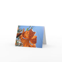 Tiger Lily Flower Easter Card