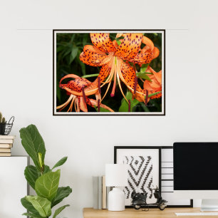 Tiger Lily Flower Garden Poster
