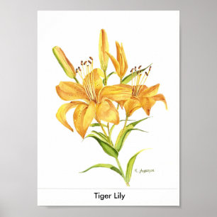 Tiger-lily in gold and yellow watercolor poster