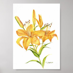 Tiger-lily in gold and yellow watercolor poster