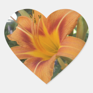 Tiger lily in summer heart sticker