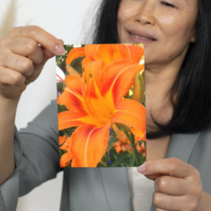 Tiger lily in the garden   card