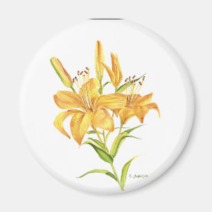 Tiger lily magnet